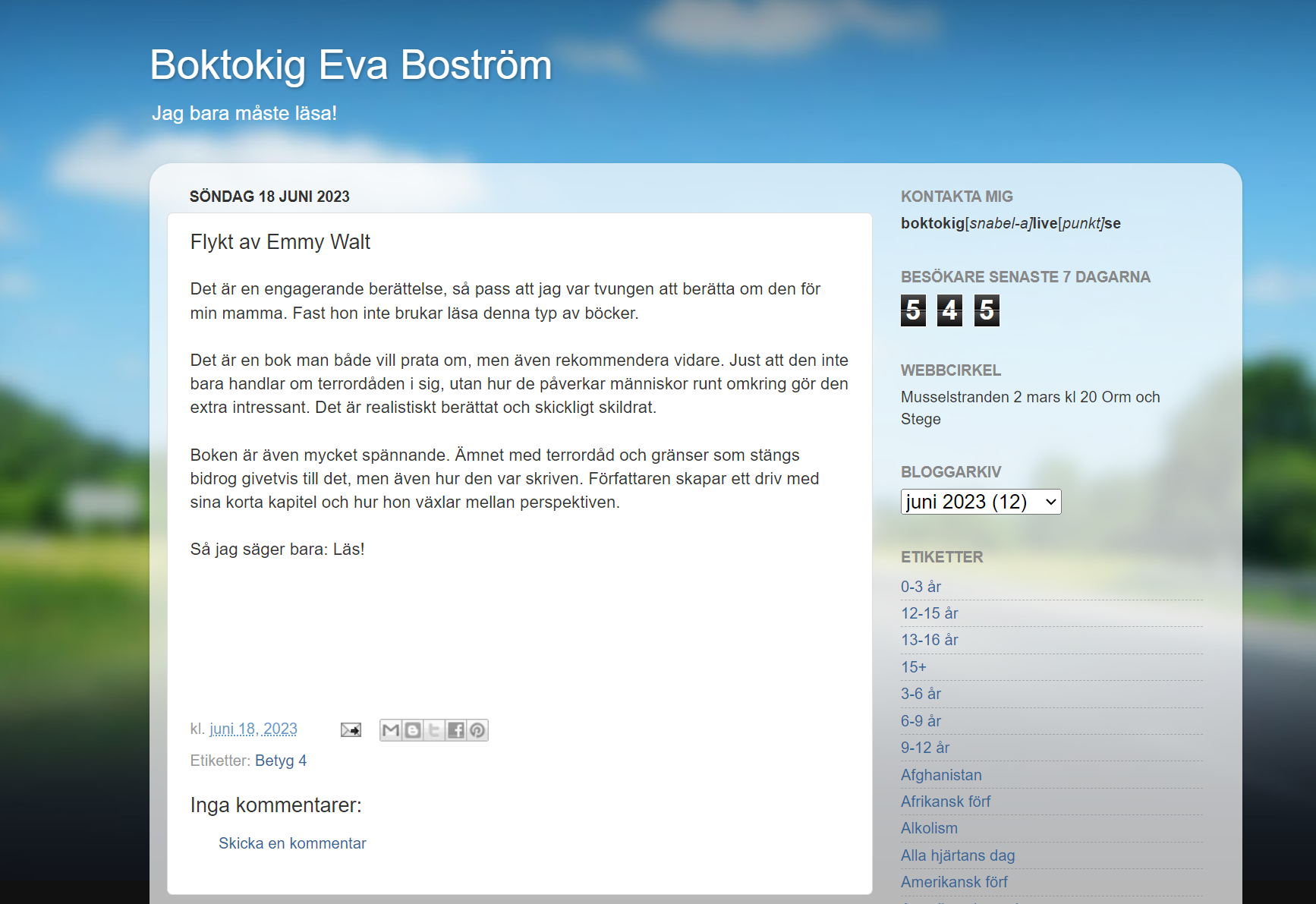A screenshot of the blog Boktokig Eva Boström
